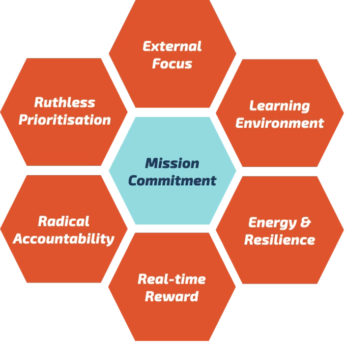 Challenger Hexagons diagram showing the traits of fast-growing Challenger businesses