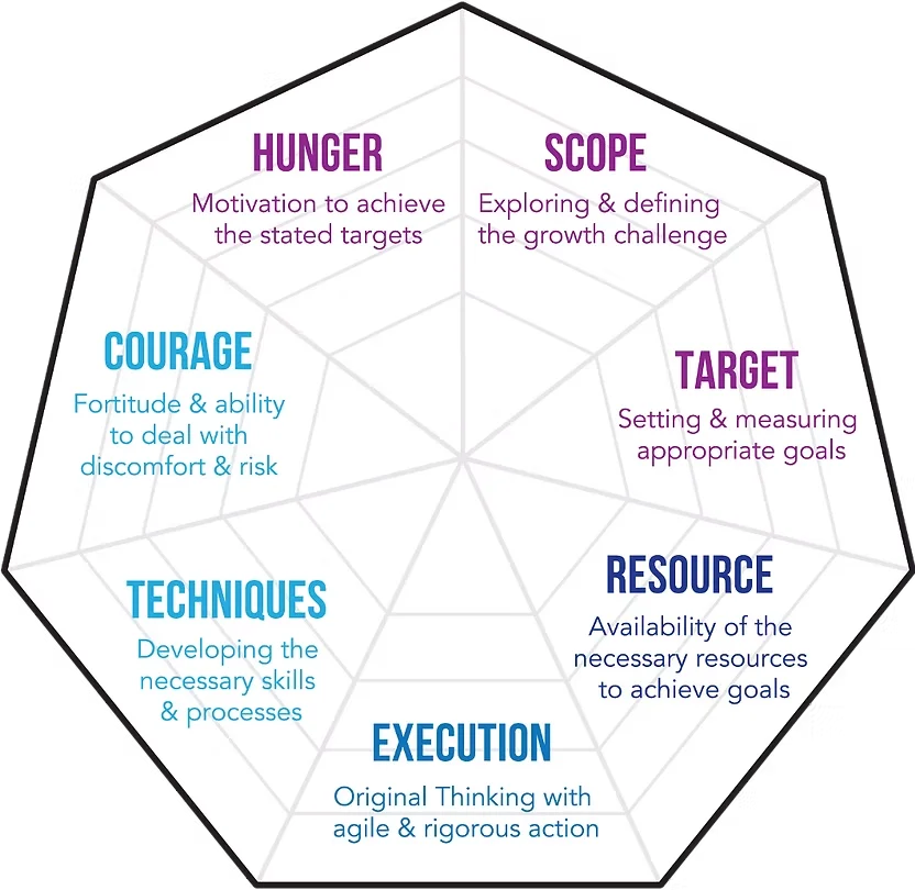Stretchonomics 7 drivers of STRETCH heptagon diagram - Scope, Target, Resource, Execution, Techniques, Courage and Hunger - Mangrove Consulting's framework for diagnosing FMCG growth performance